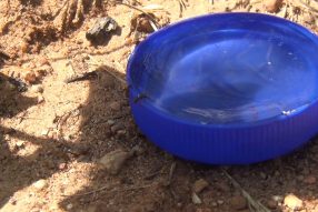 Жить хорошо, а жить без муравьёв ещё лучше 😎