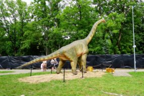 Встреча с динозаврами состоялась