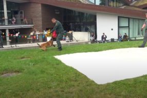 А вашей собаке слабо ?