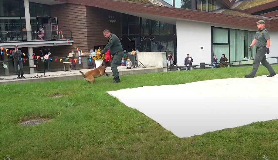 А вашей собаке слабо ?