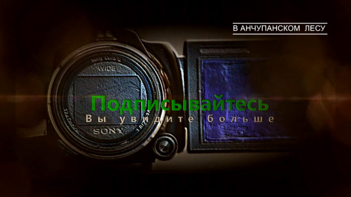Минуту видео снимали 2 дня