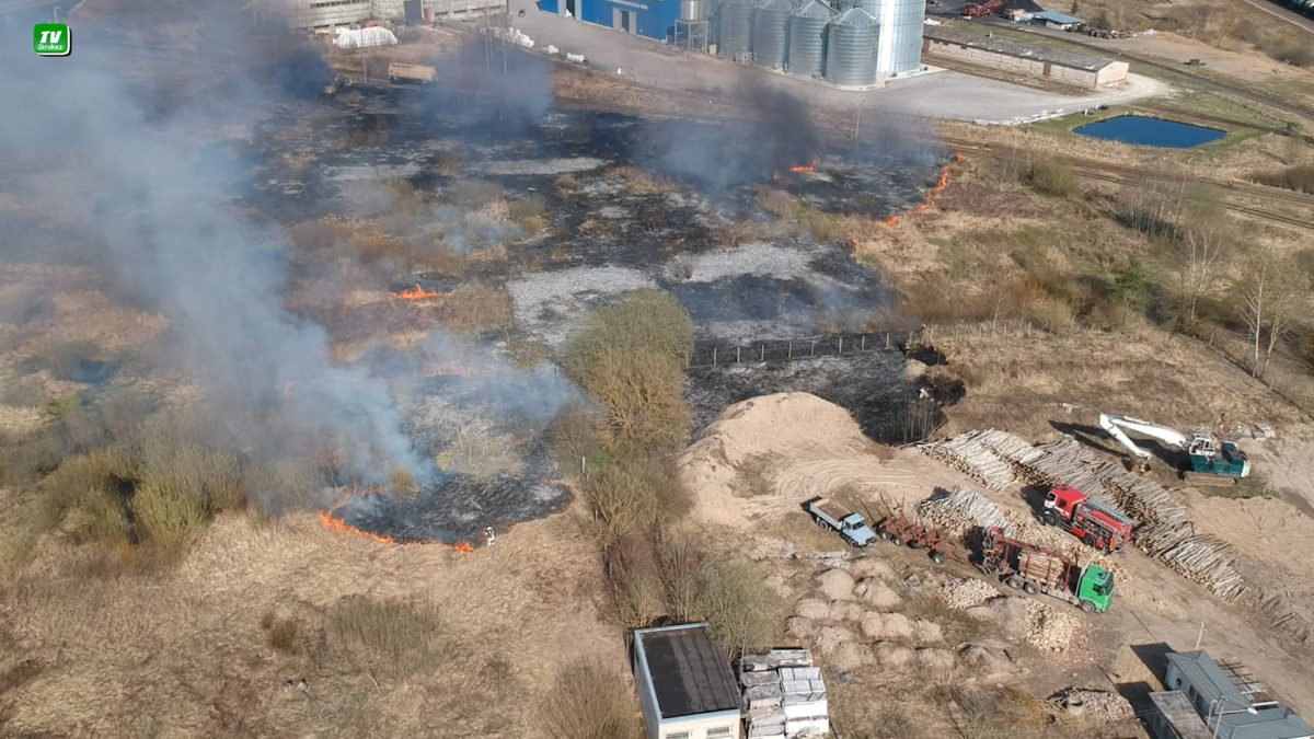 Хорошо, когда трава у дома моего  не горит