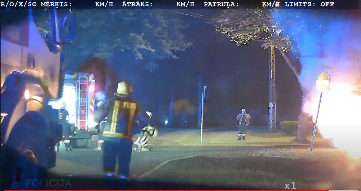 Маленькие детки, маленькие бедки