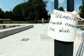 Мозг отличает человека от животного