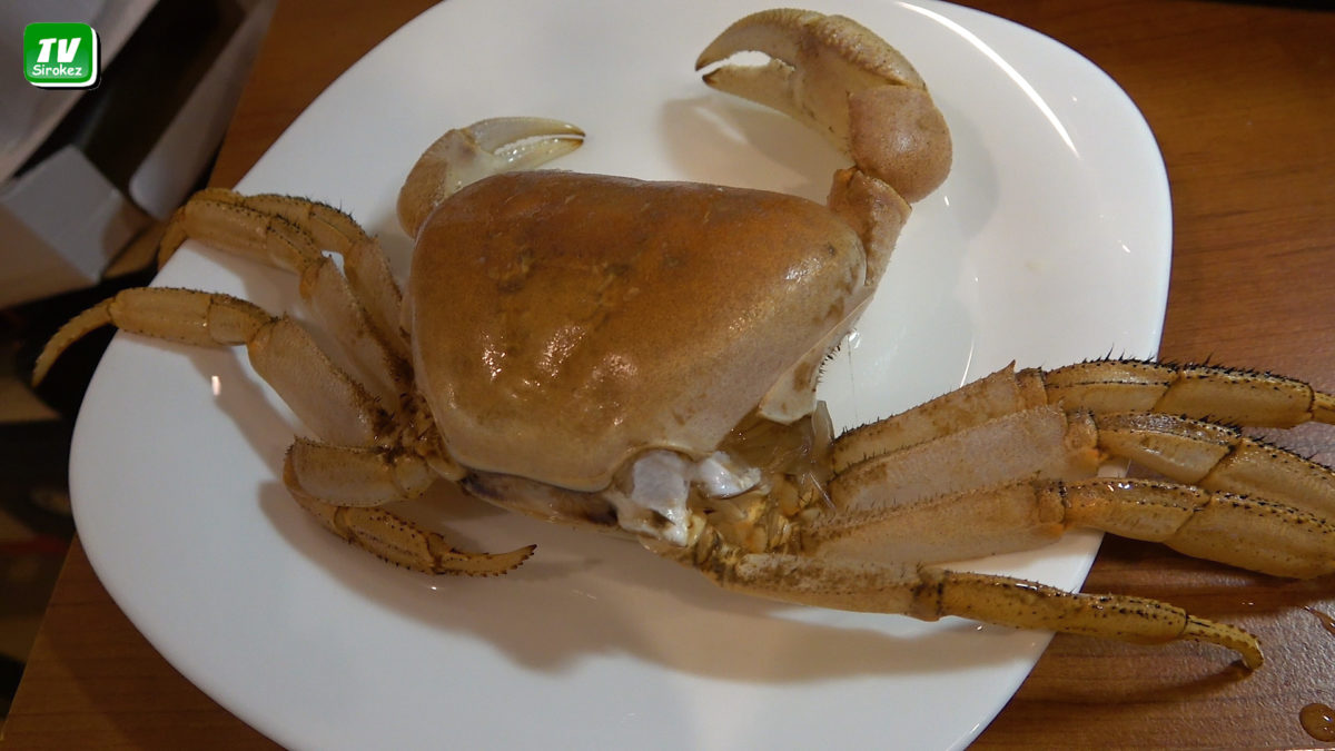 Подарок от краба к новому году