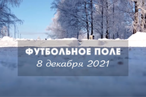 Хочешь играть, люби и снег чистить.