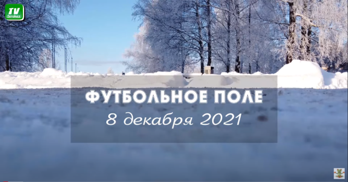 Хочешь играть, люби и снег чистить.
