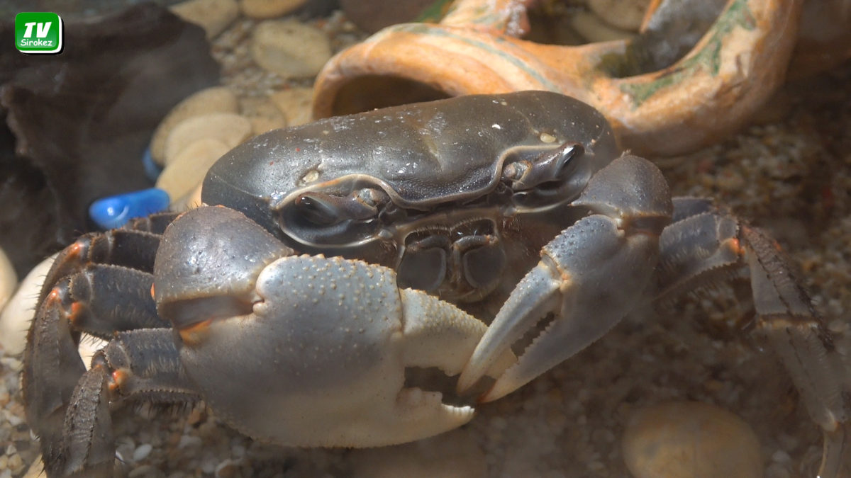 Глазки закрывай, баю бай