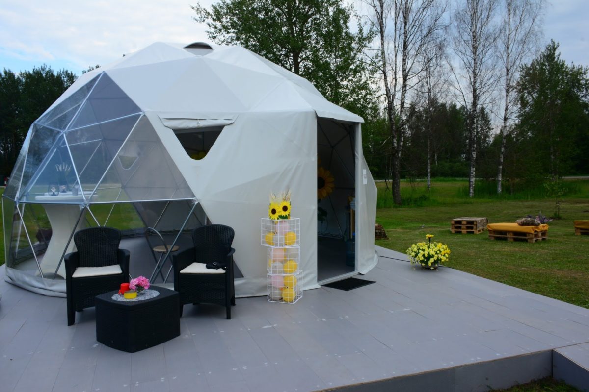 Подсолнухов стало больше