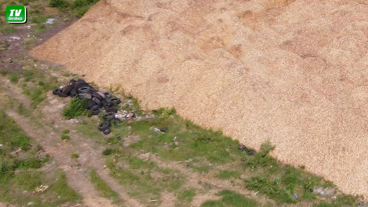 Изменения в природе происходят год от года