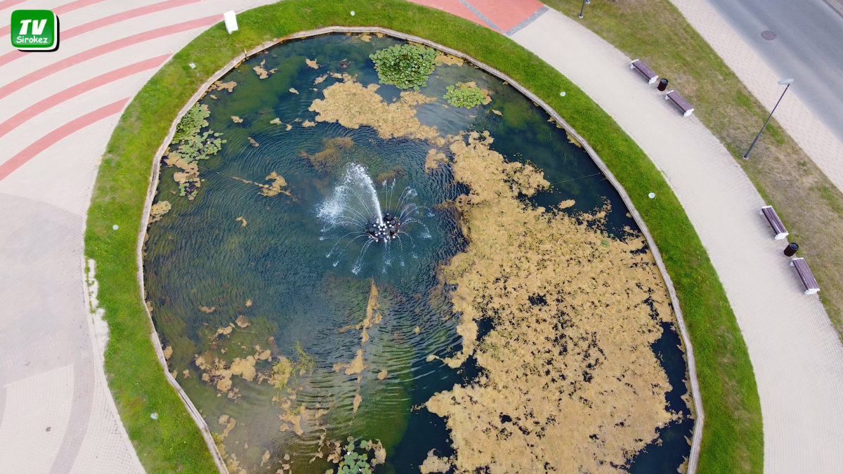 Август не за горами.