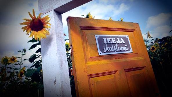 Солнечное поле под Силмалой.