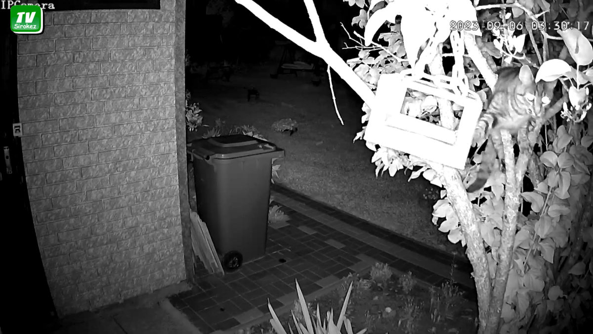 Плюс к карме обеспечен